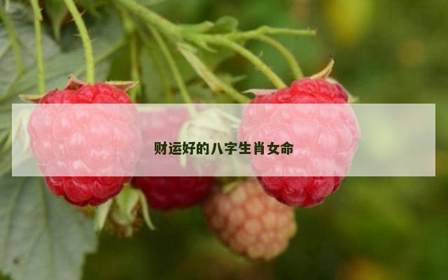 财运好的八字生肖女命