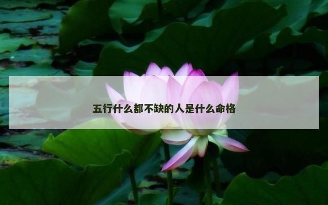 五行什么都不缺的人是什么命格