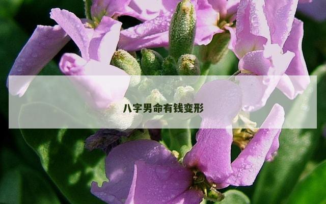 八字男命有钱变形