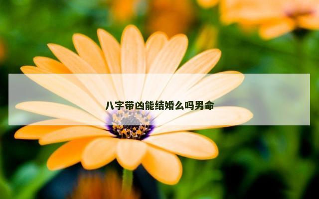 八字带凶能结婚么吗男命