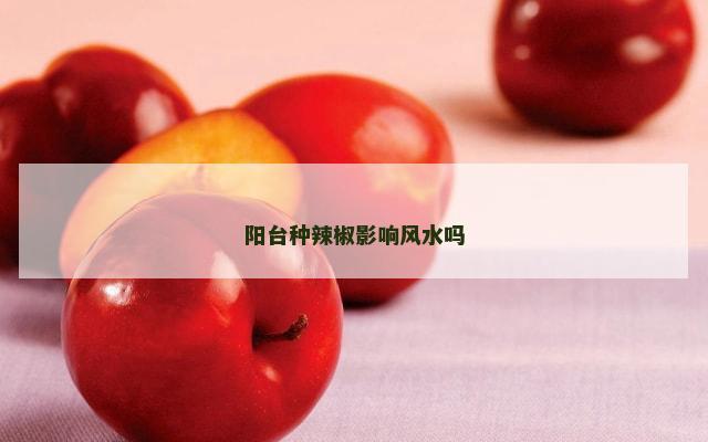 阳台种辣椒影响风水吗