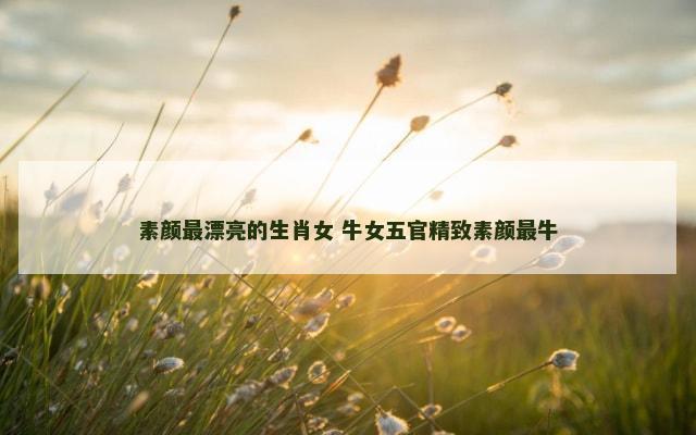 素颜最漂亮的生肖女 牛女五官精致素颜最牛