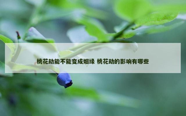 桃花劫能不能变成姻缘 桃花劫的影响有哪些