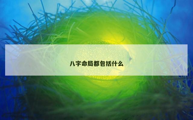 八字命局都包括什么