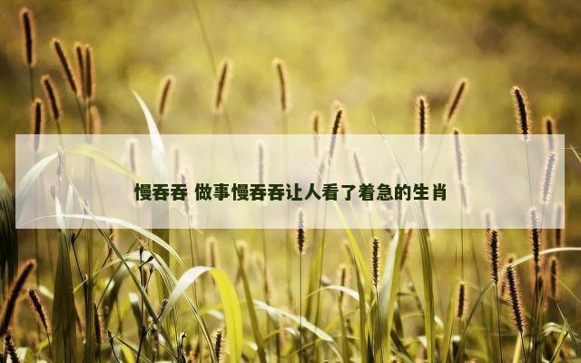 慢吞吞 做事慢吞吞让人看了着急的生肖