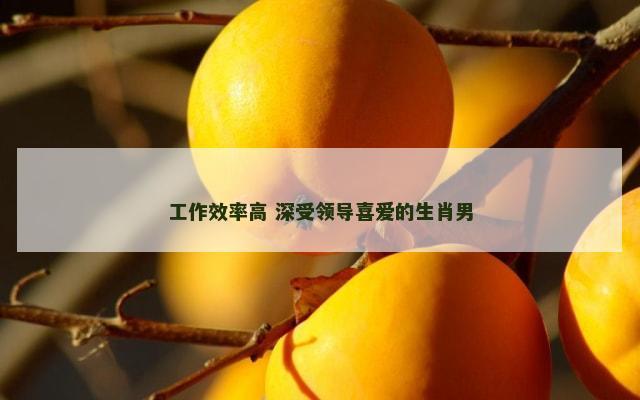 工作效率高 深受领导喜爱的生肖男