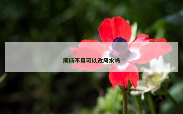 厕所不用可以改风水吗