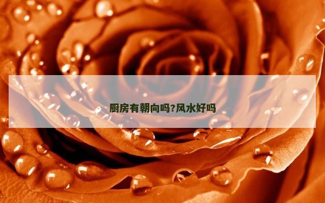 厨房有朝向吗?风水好吗