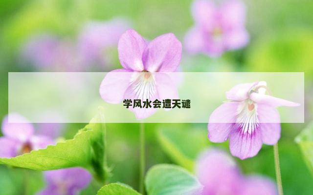 学风水会遭天谴