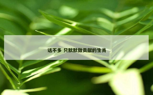 话不多 只默默做贡献的生肖