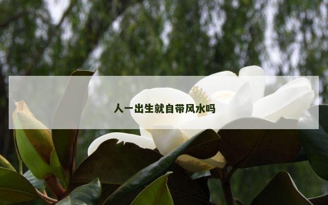 人一出生就自带风水吗