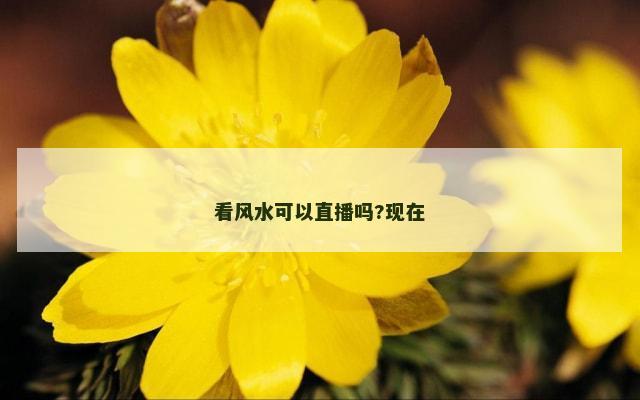 看风水可以直播吗?现在