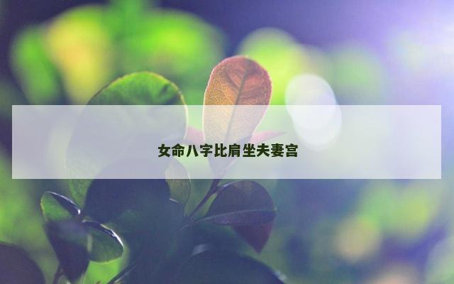女命八字比肩坐夫妻宫