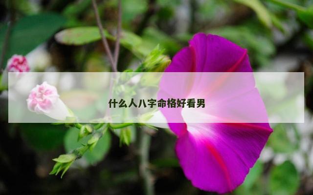 什么人八字命格好看男