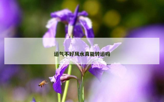 运气不好风水真能转运吗