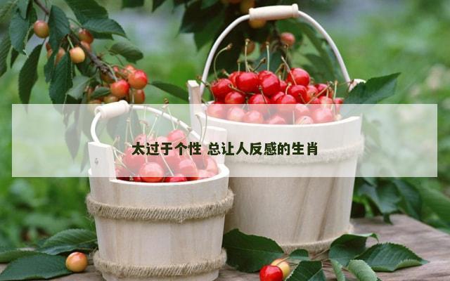 太过于个性 总让人反感的生肖