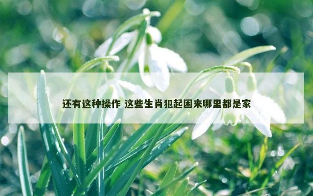 还有这种操作 这些生肖犯起困来哪里都是家