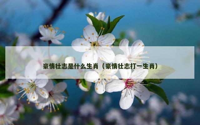 豪情壮志是什么生肖（豪情壮志打一生肖）