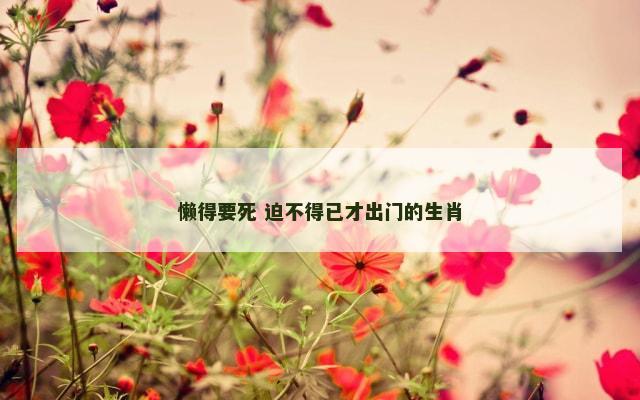 懒得要死 迫不得已才出门的生肖