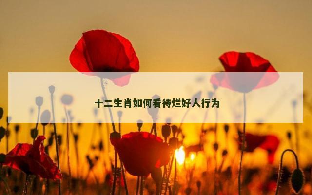 十二生肖如何看待烂好人行为