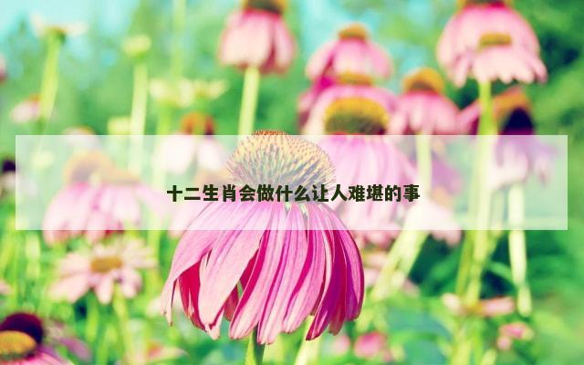 十二生肖会做什么让人难堪的事