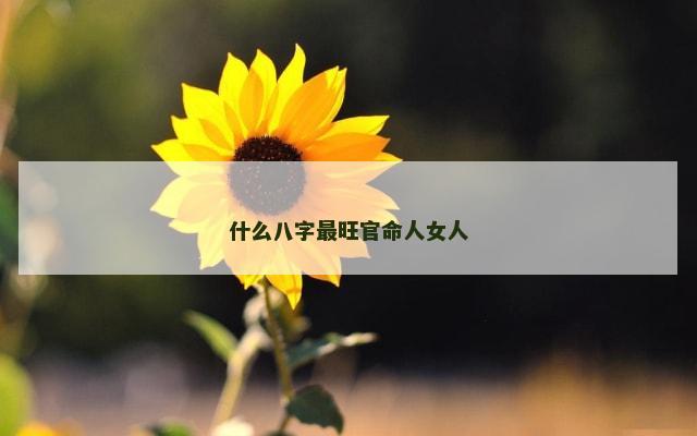 什么八字最旺官命人女人