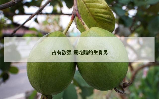占有欲强 爱吃醋的生肖男