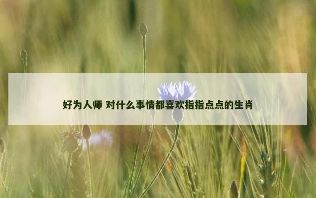 好为人师 对什么事情都喜欢指指点点的生肖