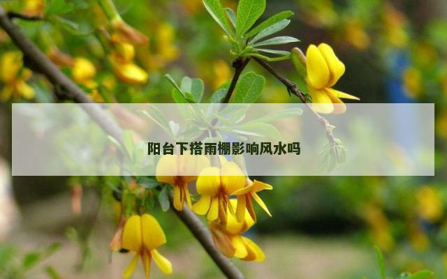 阳台下搭雨棚影响风水吗