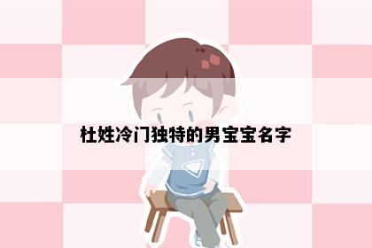 杜姓冷门独特的男宝宝名字