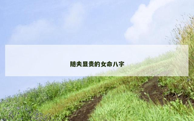 随夫显贵的女命八字