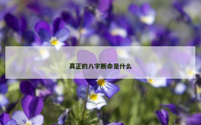 真正的八字断命是什么