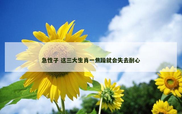 急性子 这三大生肖一焦躁就会失去耐心
