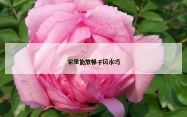 家里能放梯子风水吗