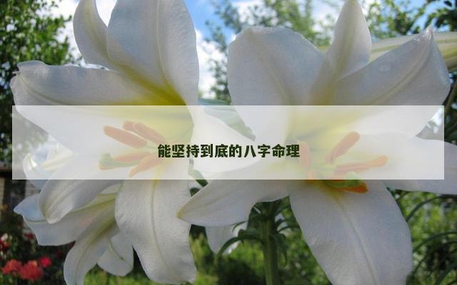 能坚持到底的八字命理