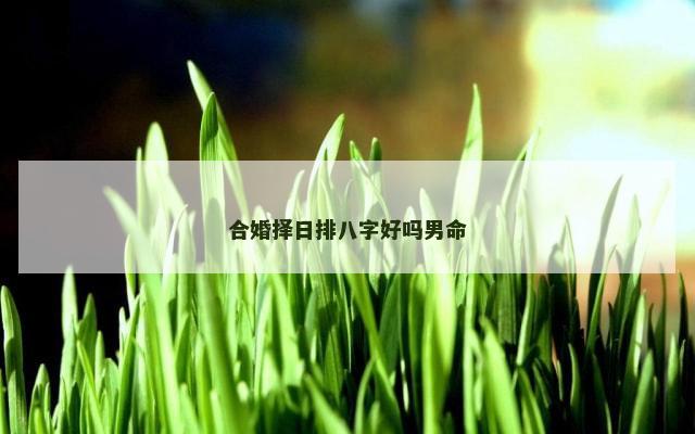 合婚择日排八字好吗男命
