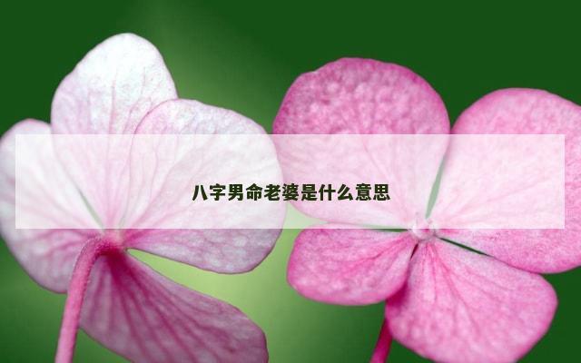 八字男命老婆是什么意思
