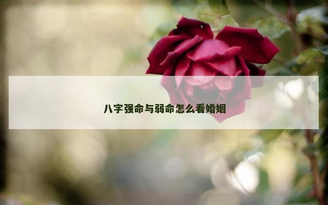 八字强命与弱命怎么看婚姻