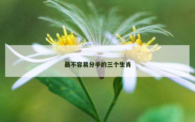 最不容易分手的三个生肖