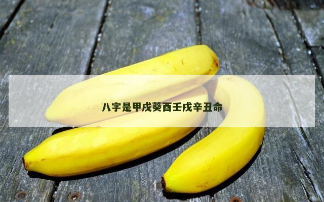 八字是甲戌葵酉壬戌辛丑命