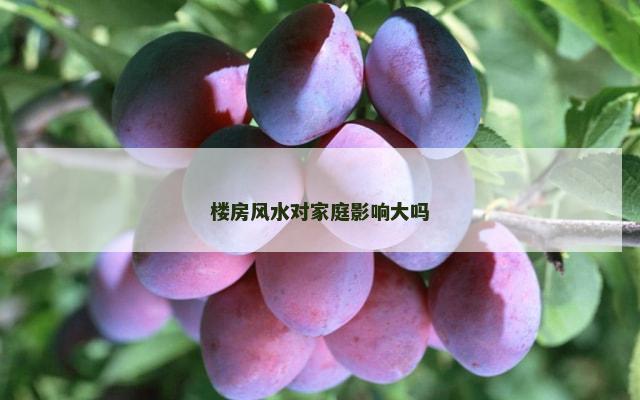 楼房风水对家庭影响大吗