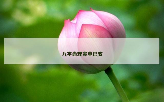 八字命理寅申巳亥