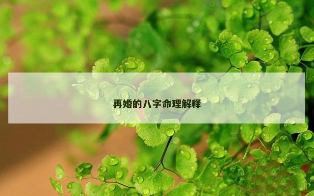 再婚的八字命理解释
