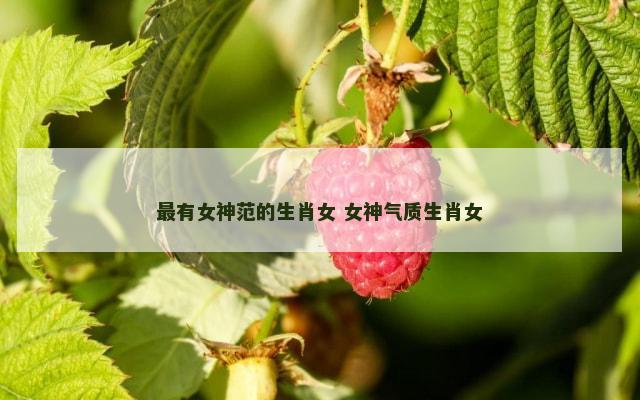 最有女神范的生肖女 女神气质生肖女