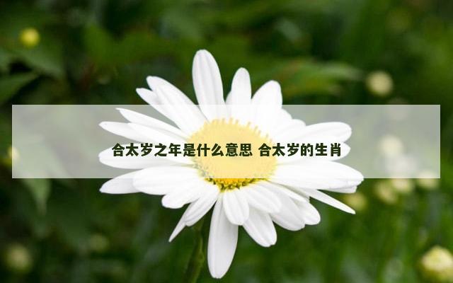 合太岁之年是什么意思 合太岁的生肖