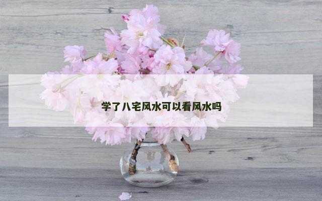 学了八宅风水可以看风水吗