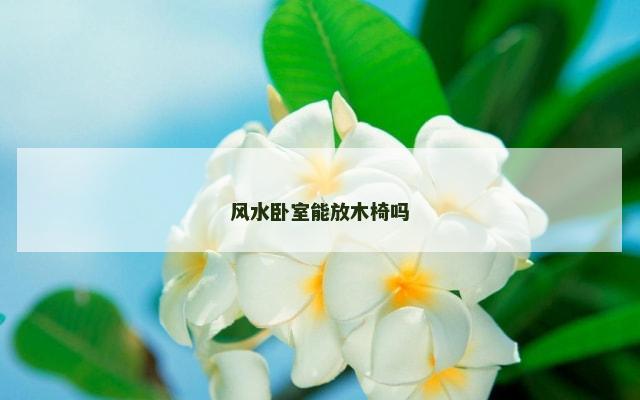 风水卧室能放木椅吗