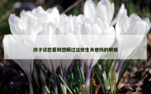 孩子谈恋爱别想瞒过这些生肖爸妈的眼睛