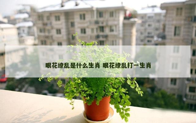 眼花缭乱是什么生肖 眼花缭乱打一生肖