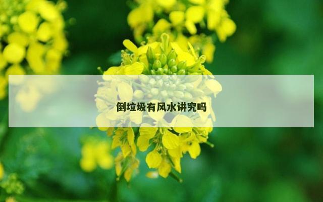 倒垃圾有风水讲究吗